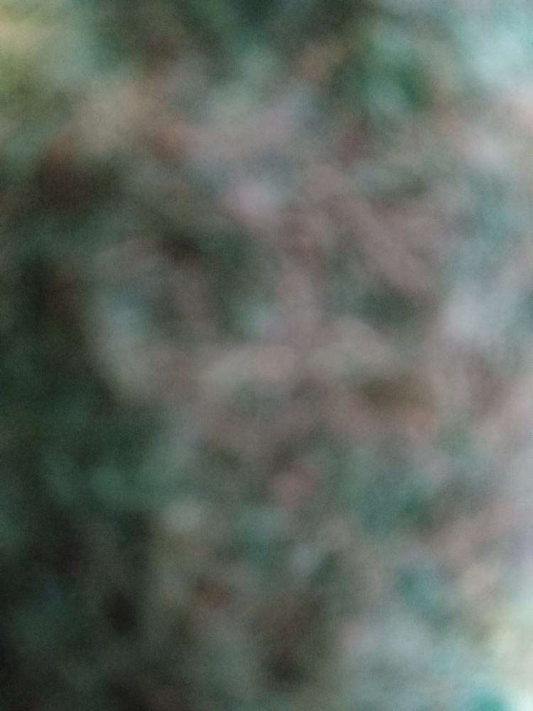 حسین آل بوفتیله