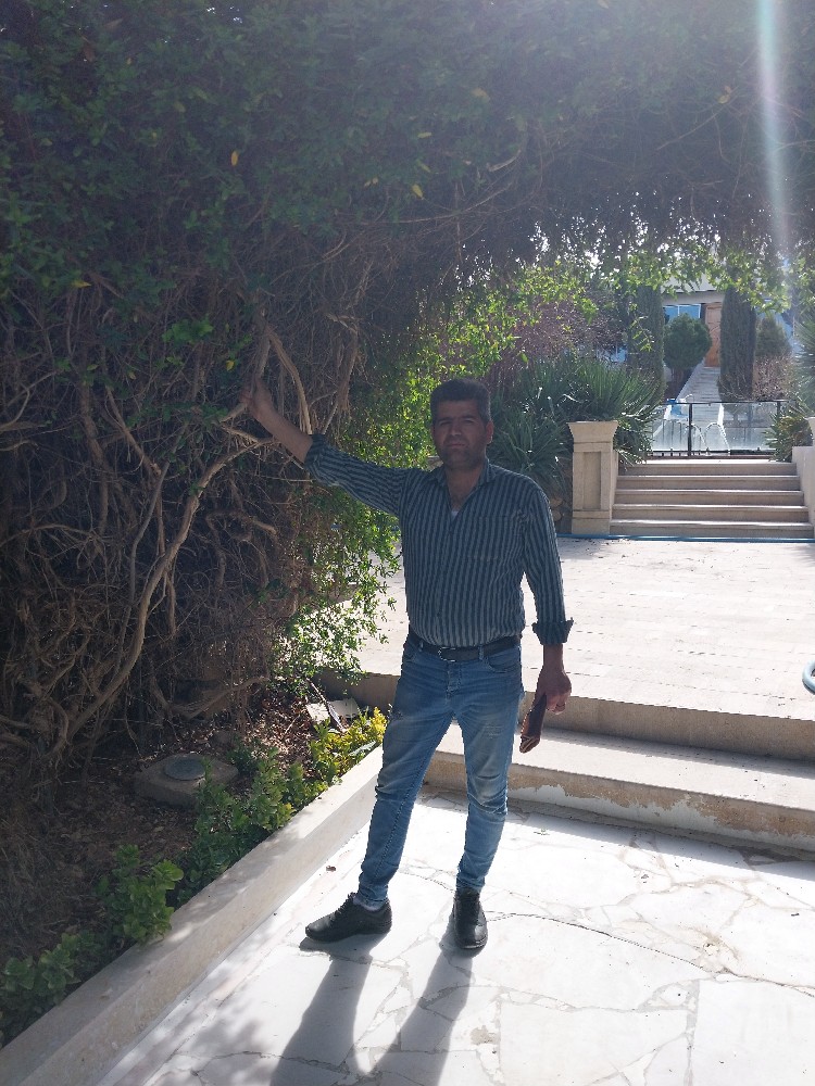 مهدی قوهستانی