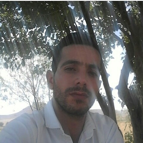 رضا قاسمی