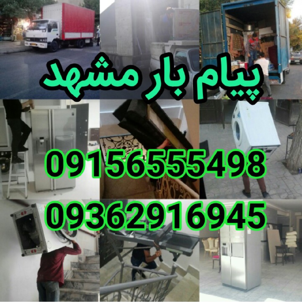 حمید شیمی