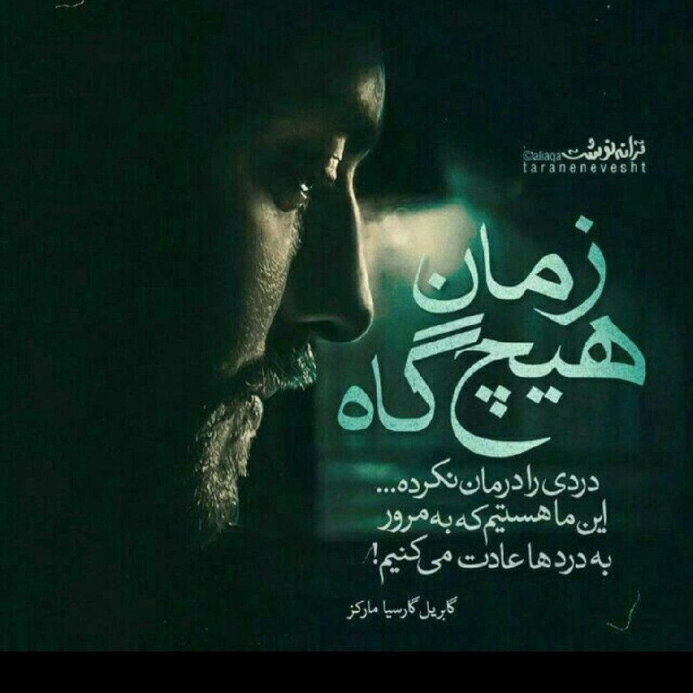 provider user card avatar