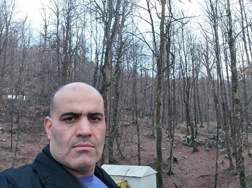 محمد سیاوشی