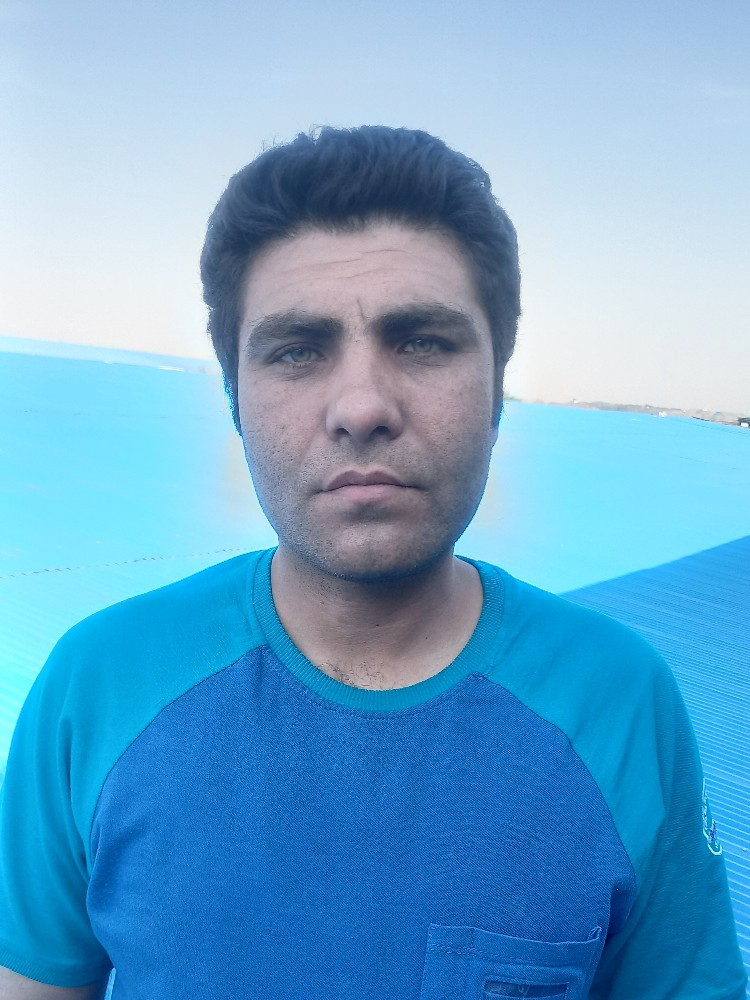 رضا پورحنیفه