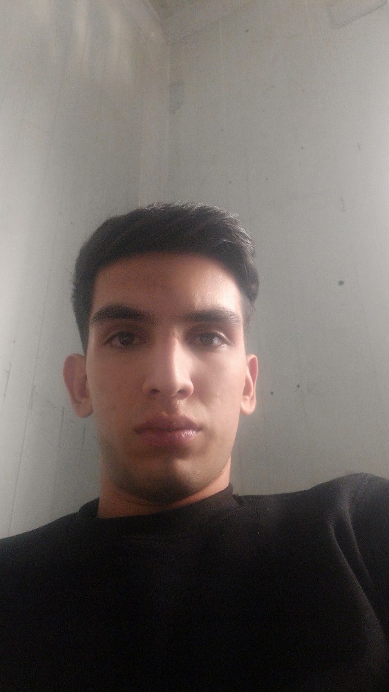 امیر محمد بیات