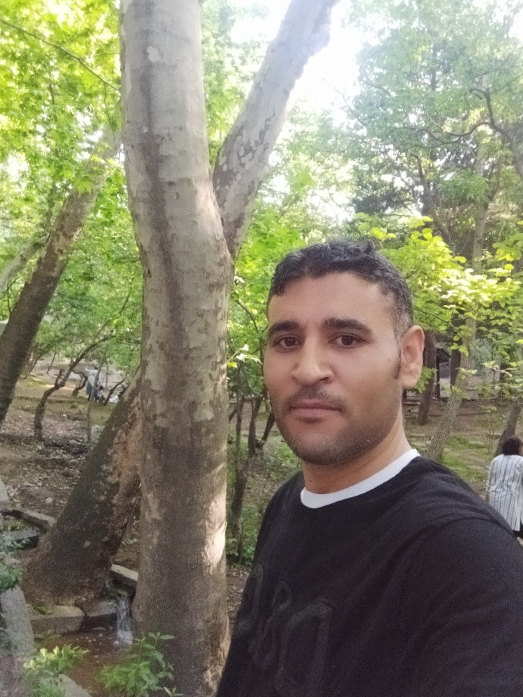 رضا امانی