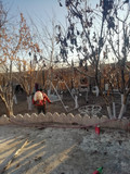 حسین نودهانی