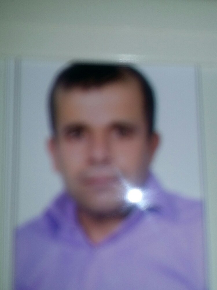 ولی حامدی نسب