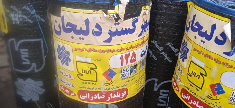 محمدحسین بیات