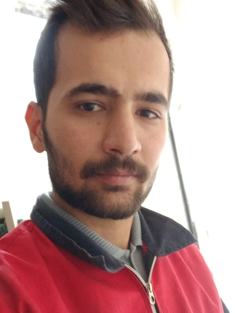 هادی احمدی