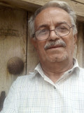 رضا شرفی
