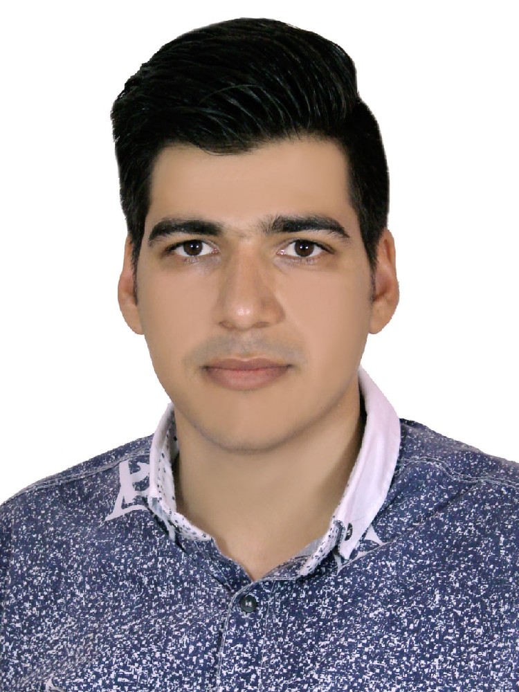 امیرحسین عربی
