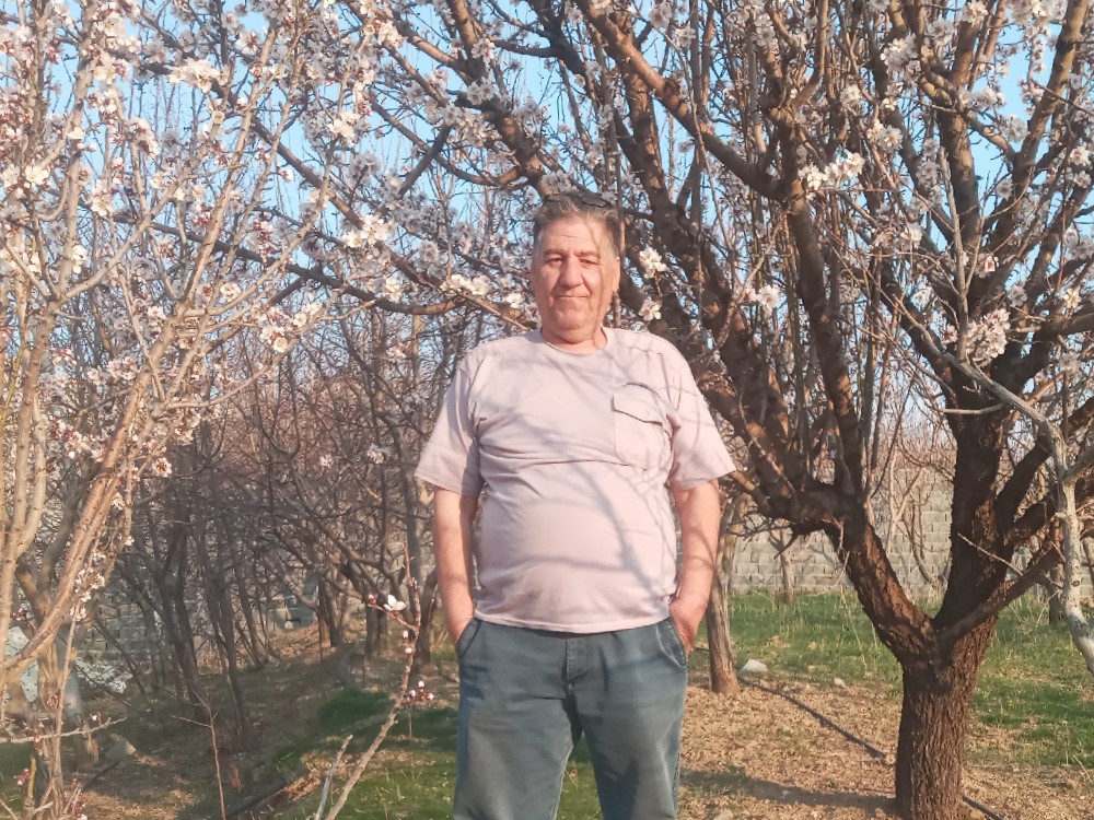 حسین جمالی