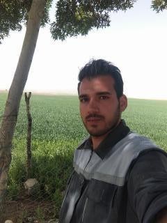 هادی نوری