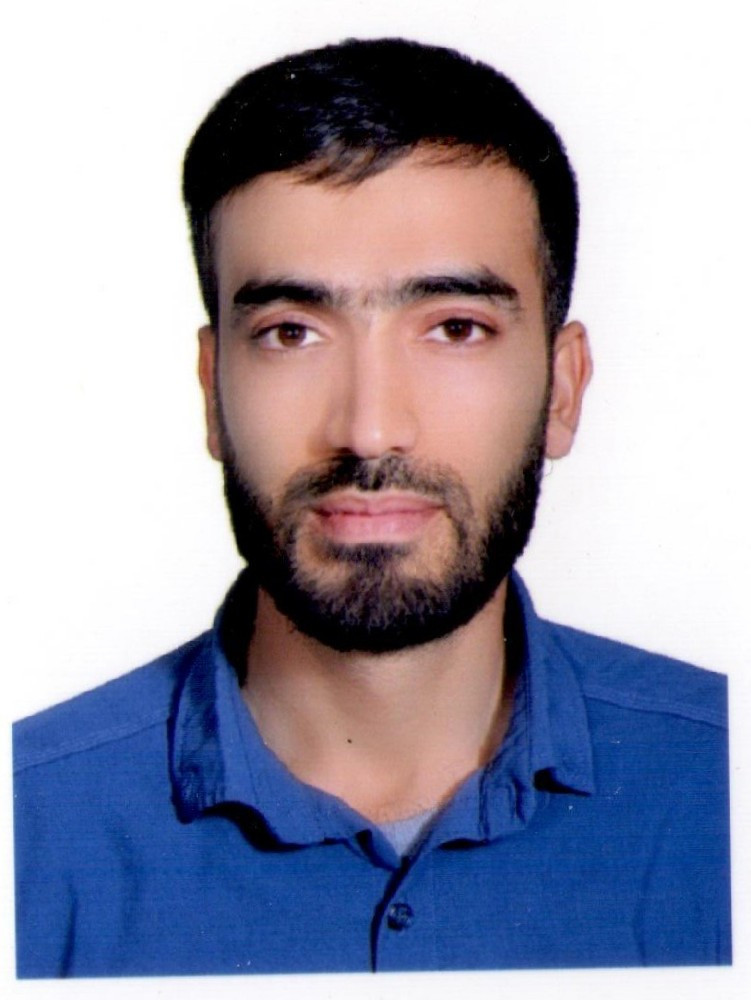 محمد علی محمدی