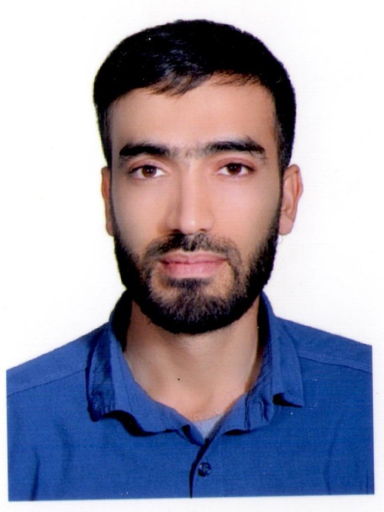 محمد علی محمدی