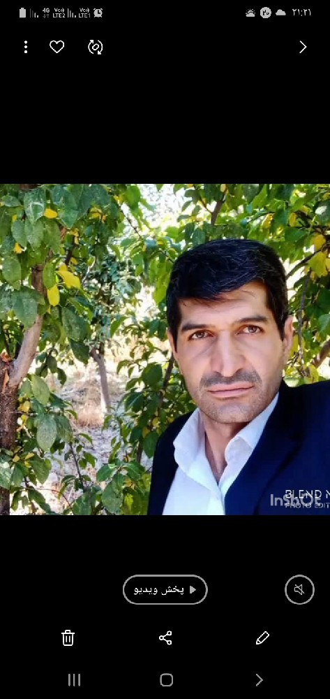 داود جمشیدی