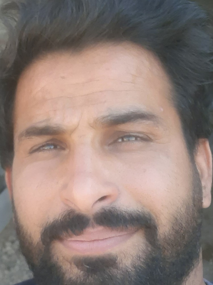 محمد حسین شیردل