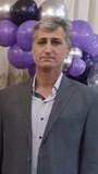 سید حسین نجفی