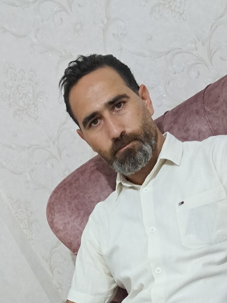 محمد رضا تیموری