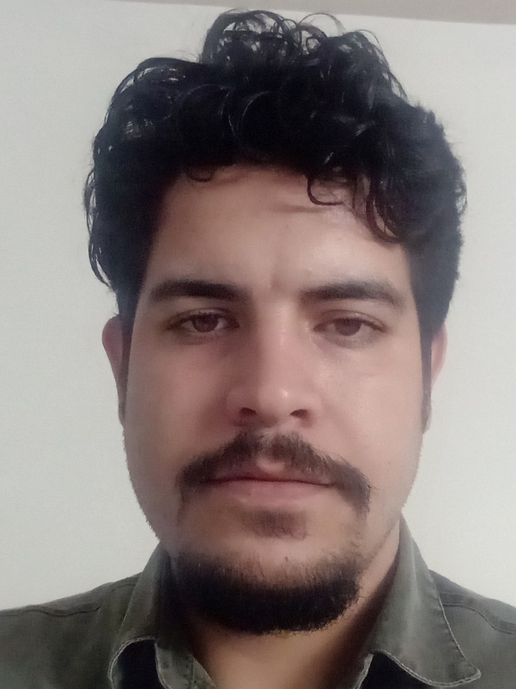 امیر حسین زاده