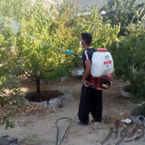 علیرضا نودهانی