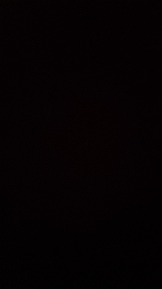 زهرا رویانی