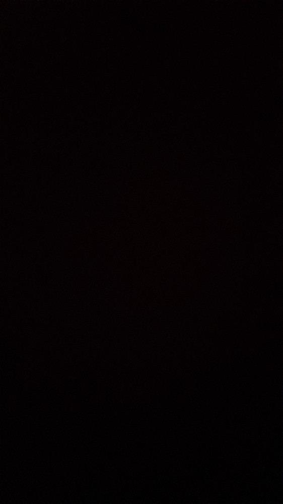زهرا رویانی