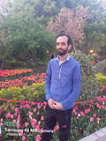 فرهاد نیکپور