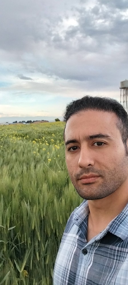 بهمن سعادتی