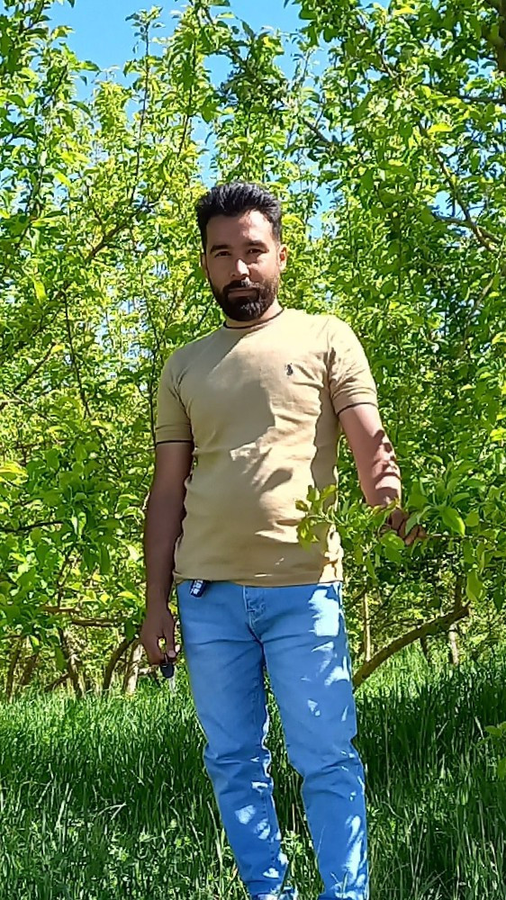 حمید غلامیان