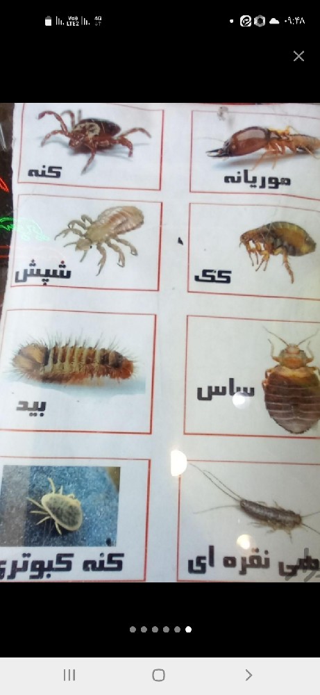 صادق رضایی رضلیی