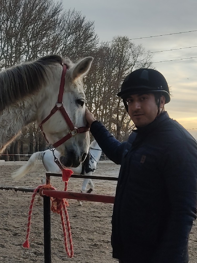محمد مهدی محمودی