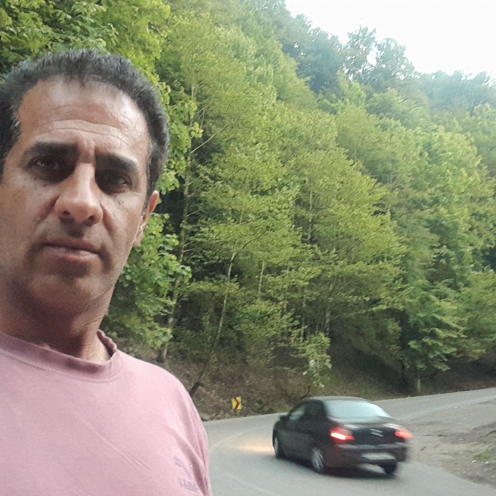 محمد جواد شفیعی فلاورجانی
