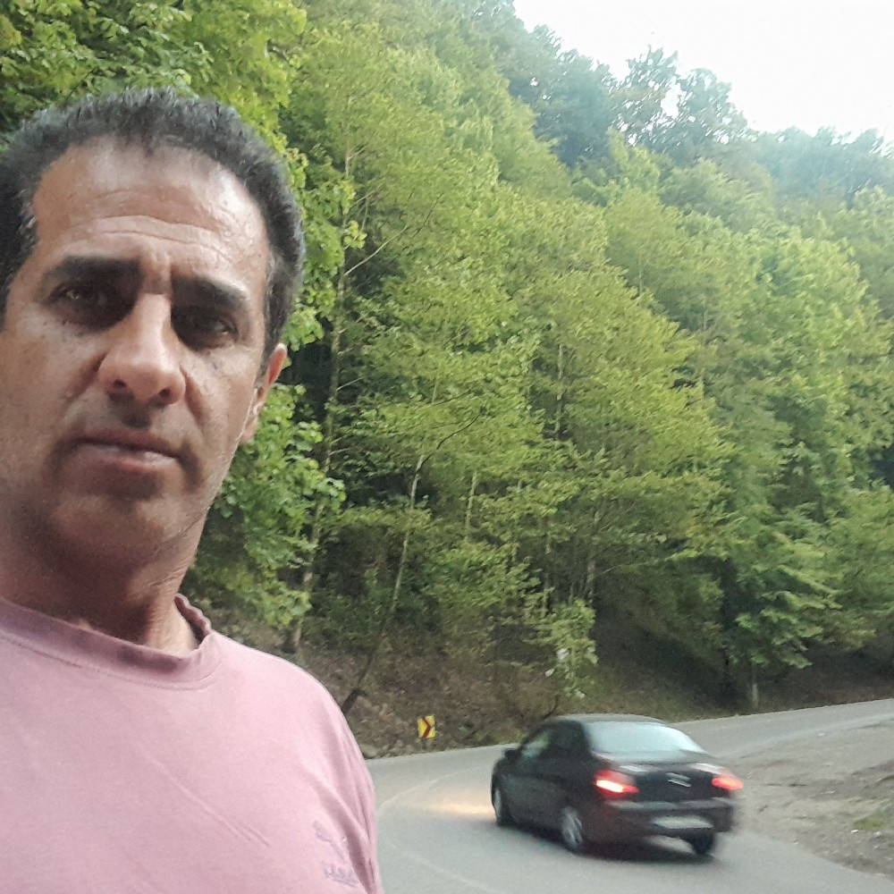 محمد جواد شفیعی فلاورجانی