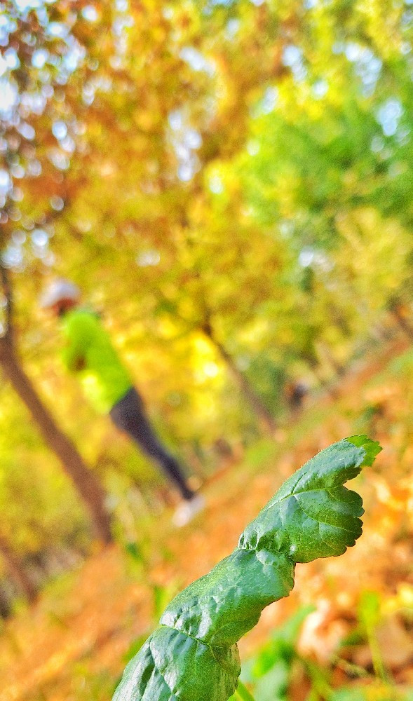 امید فعلی