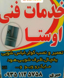 سید بهزاد میری