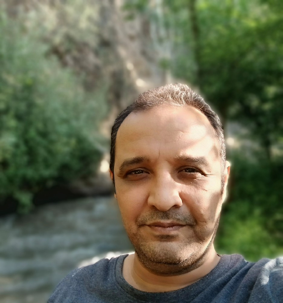 سعید صیفی
