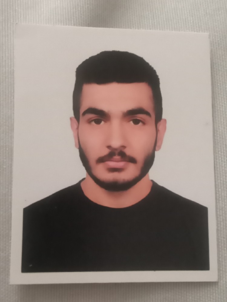 میر ارین ناظری