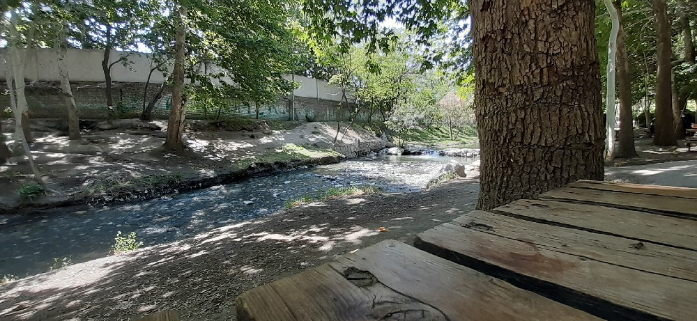 سیدطاها ثامنی
