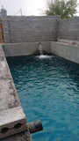 مصطفی شیرازی