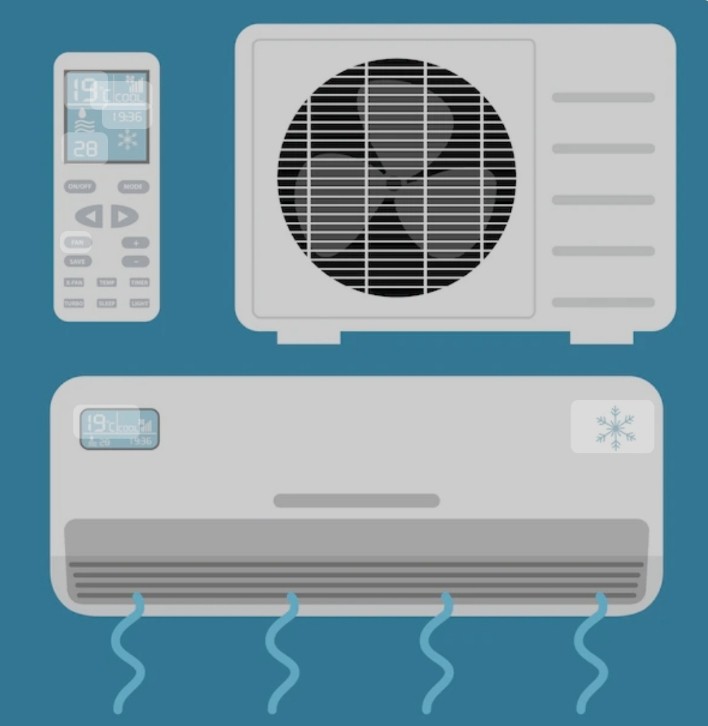 سید محمد ملوک نژاد