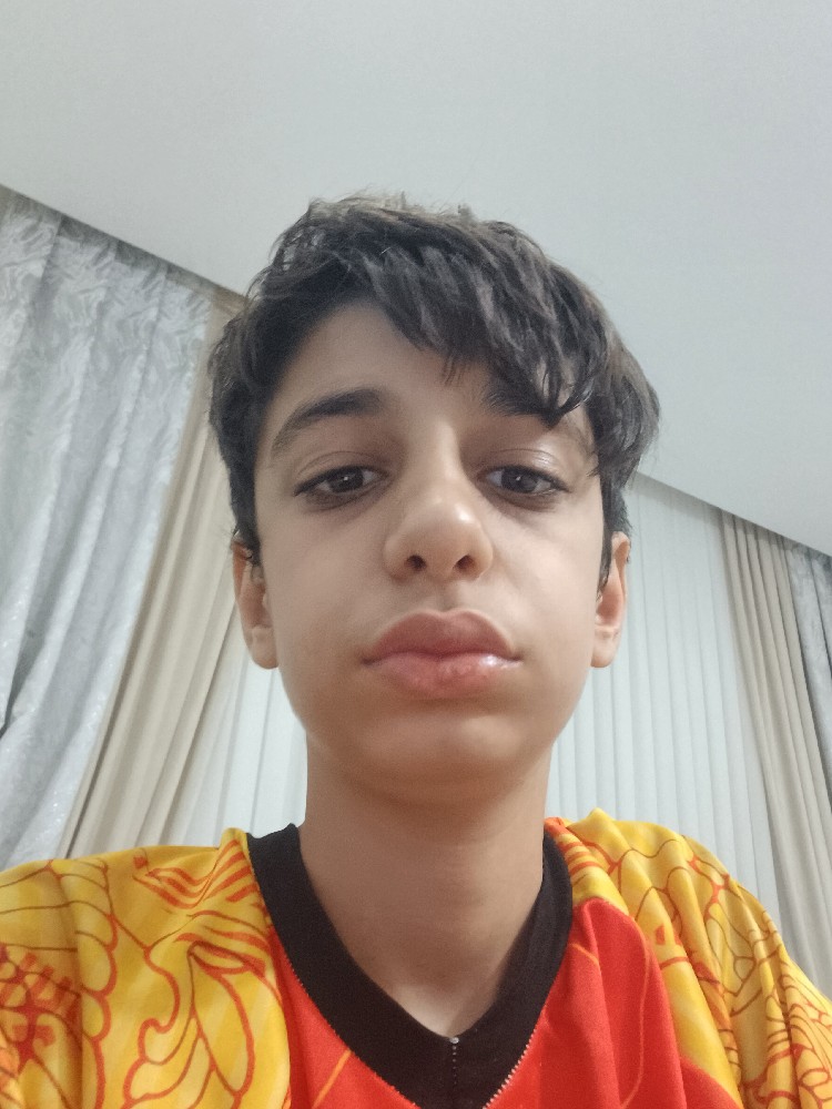 محمد مهدی موگویی