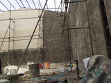 گل مراد قربانی
