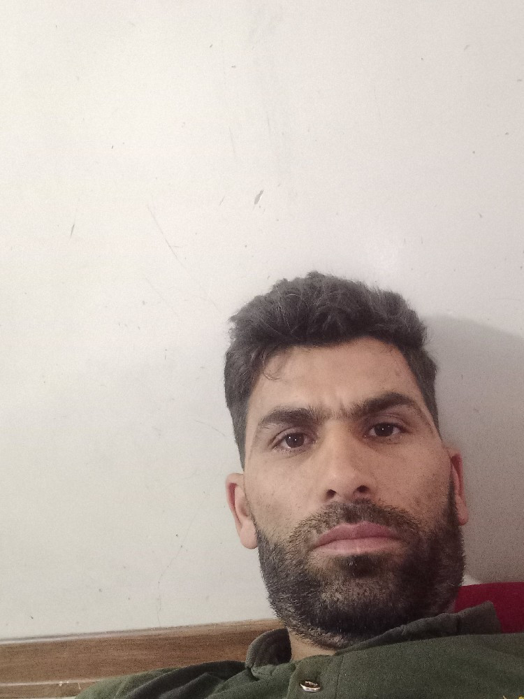 محمد علی محمودی