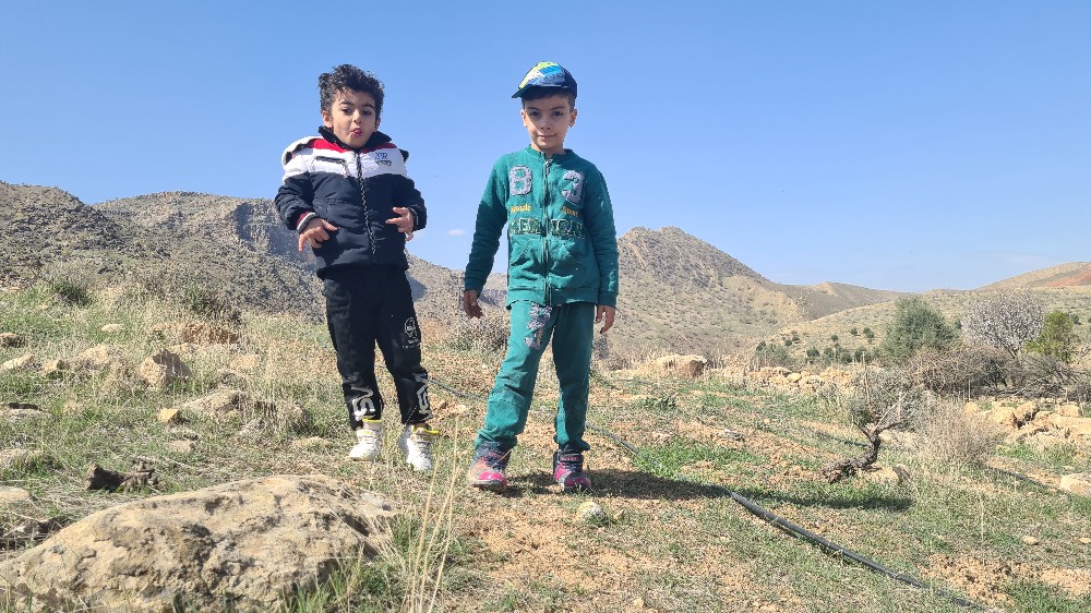 بهاالدین اسدی