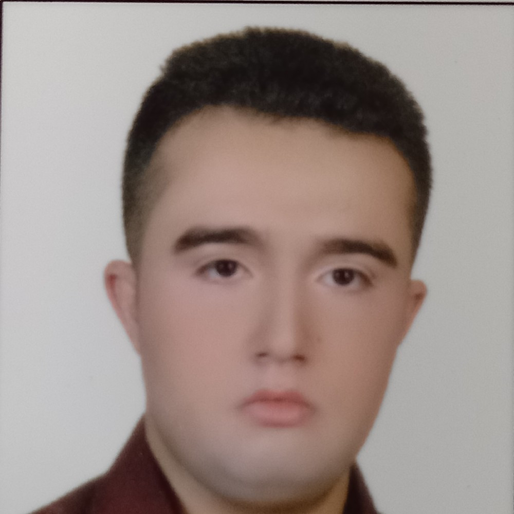 provider user card avatar