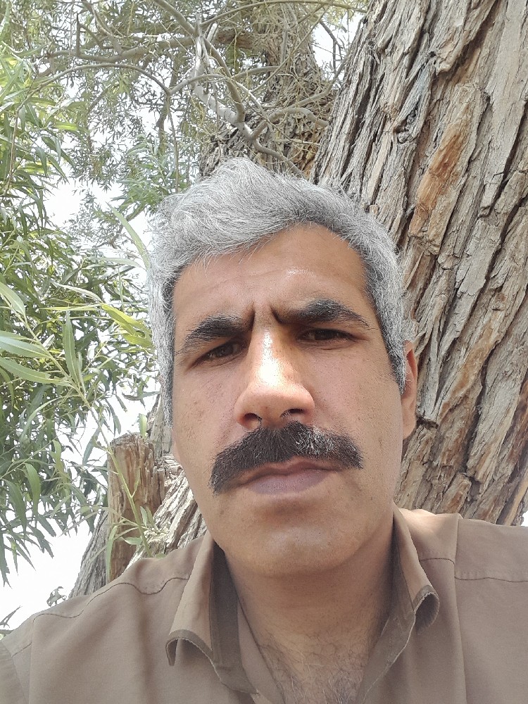 عباس داداش زاده