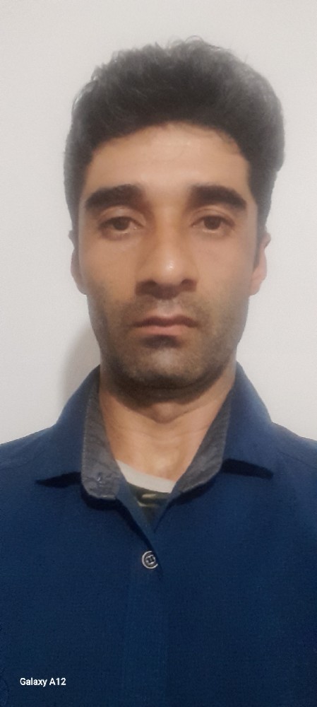 علی داودی