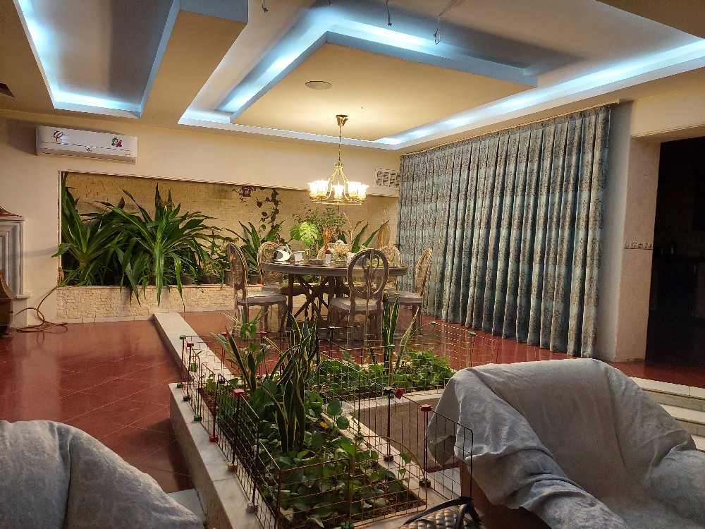 حجت قربانی