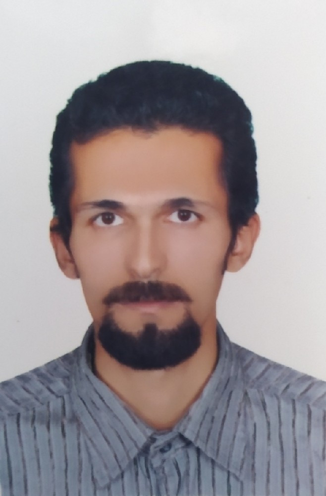 سیدمحمد هنروری